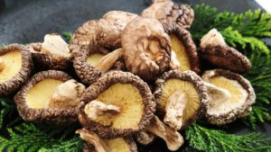 shiitake