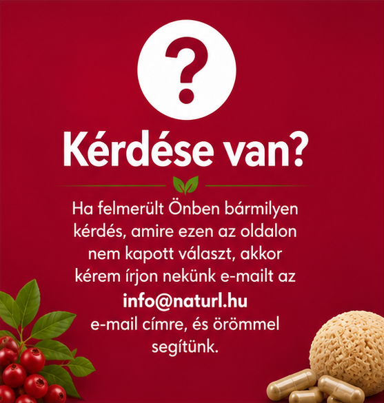 Kérdése van? Kapcsolat és segítség